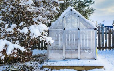 QUOI DE PREVU CET HIVER ?